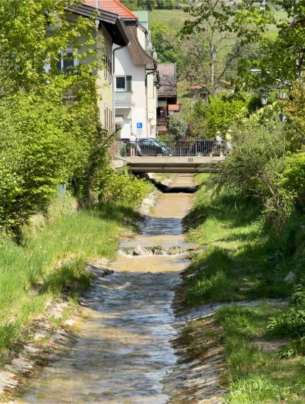 Pârâu cu apă curată curgând printre maluri înverzite